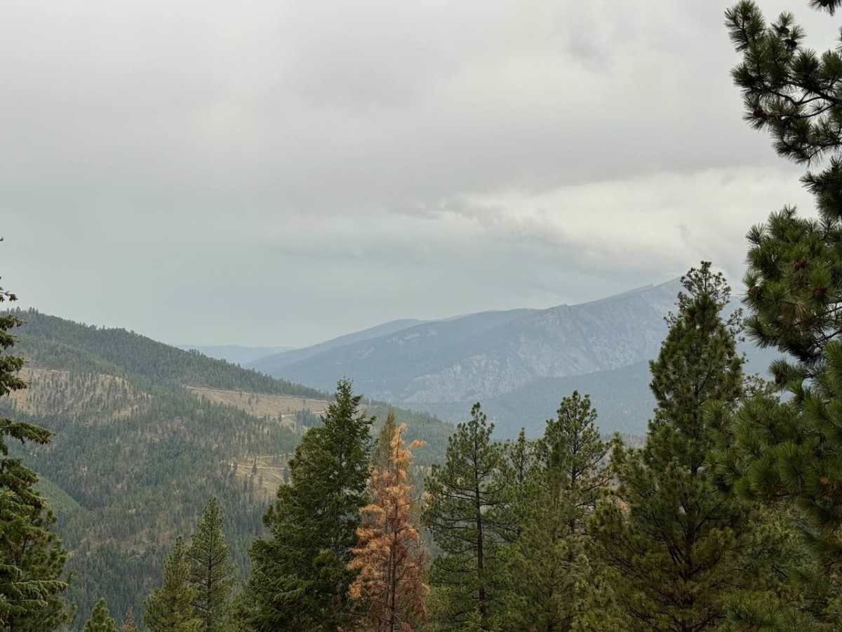 Piquett Creek Part 1 photo 6