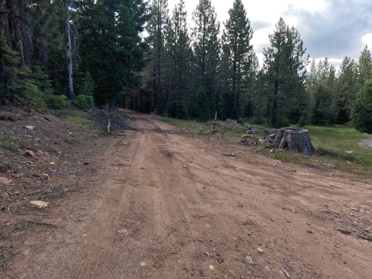 Sloan Cabin Spur - FS 12N99A photo 3
