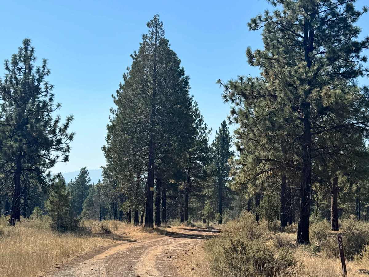 FS 1170400 trail photo