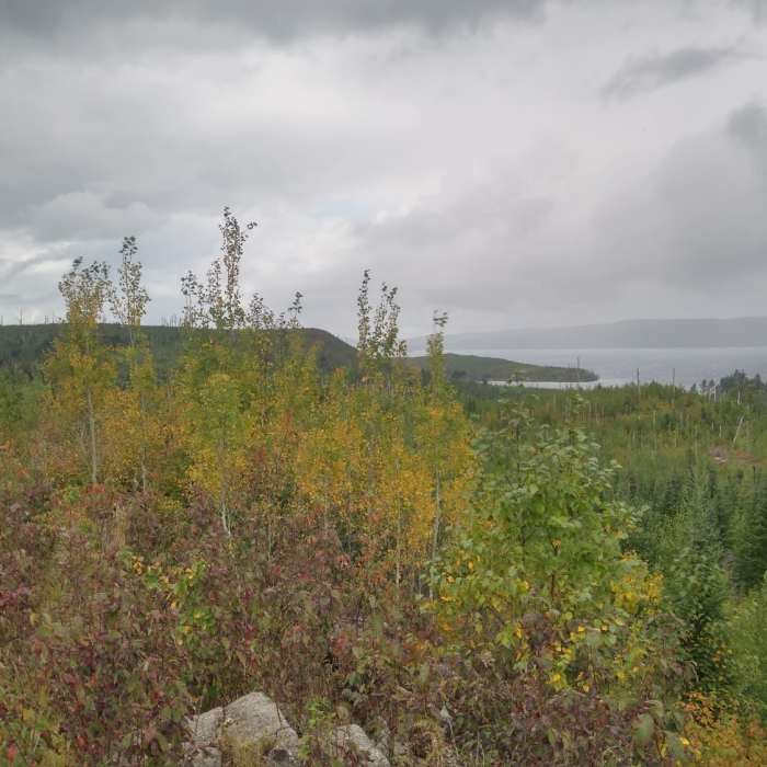 Gunflint Lake. Near Crab Lake Trail to Bridal Falls