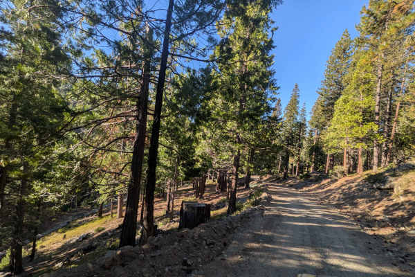 Fraser Flat Road - FS 4N13