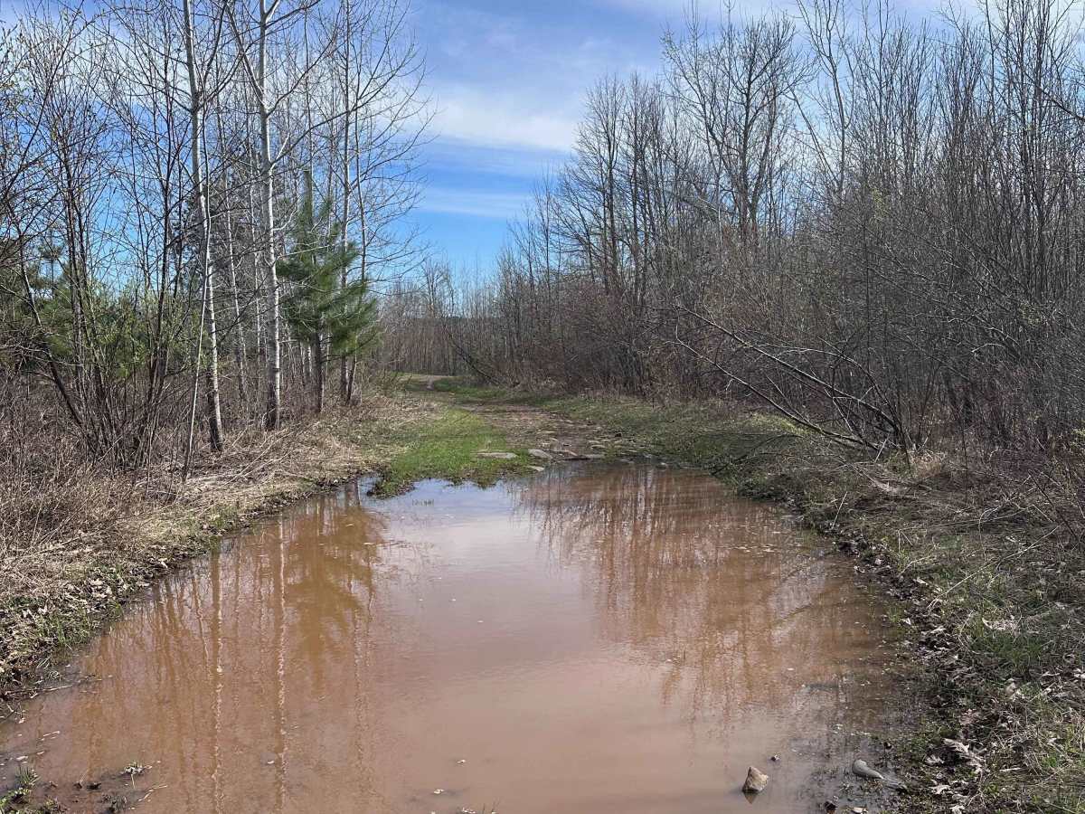 Mallard Lake Spur B photo 6