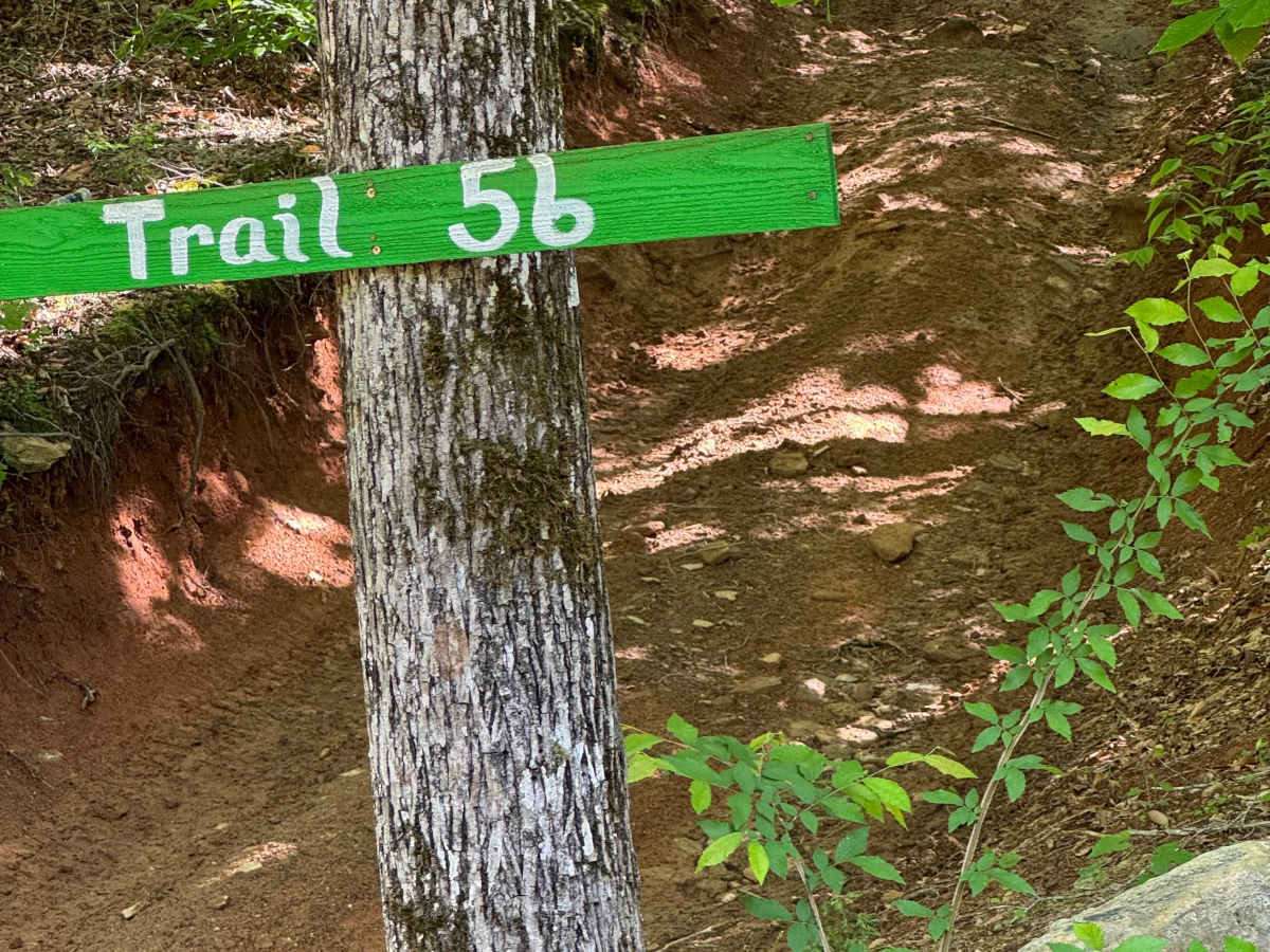 Trail 56 trail photo