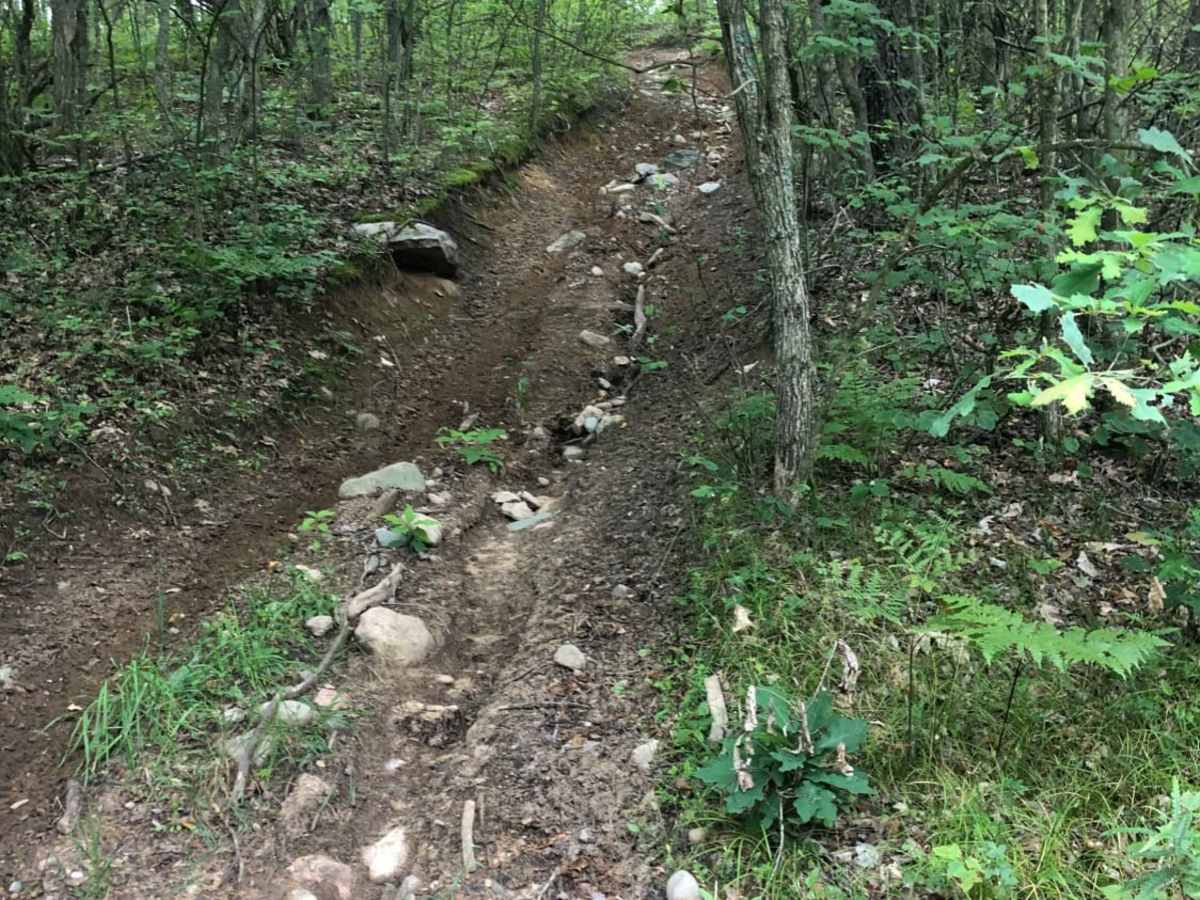 Evart Motorcycle Trail photo 2