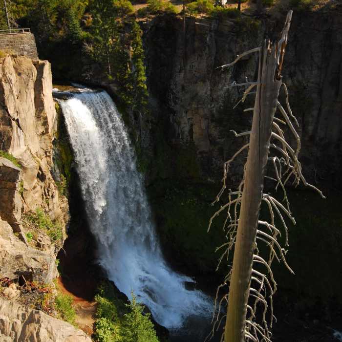 Near North Fork to Bridge Creek Loop