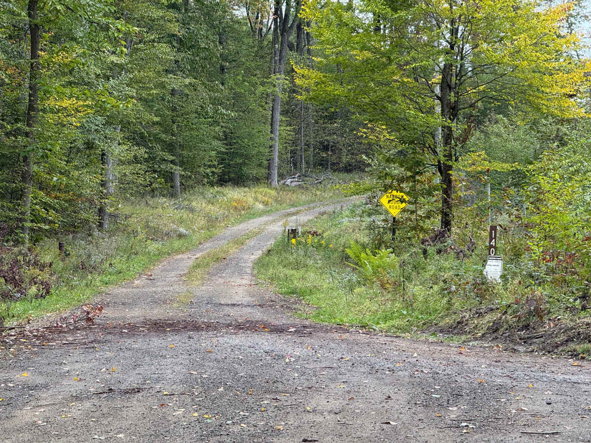 Coal Flat - FS 140 trail photo