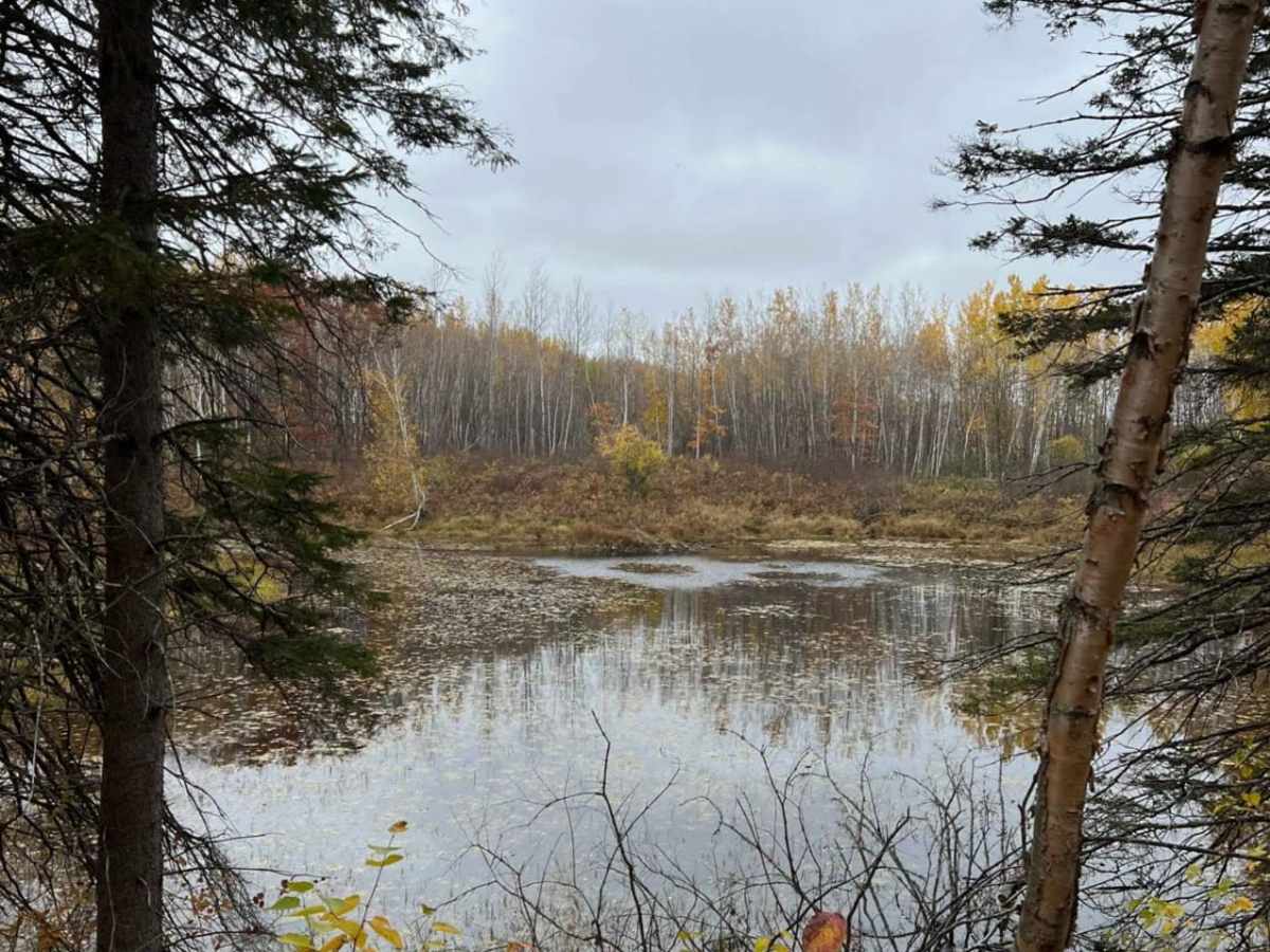 East Steamboat Lake Road photo 6