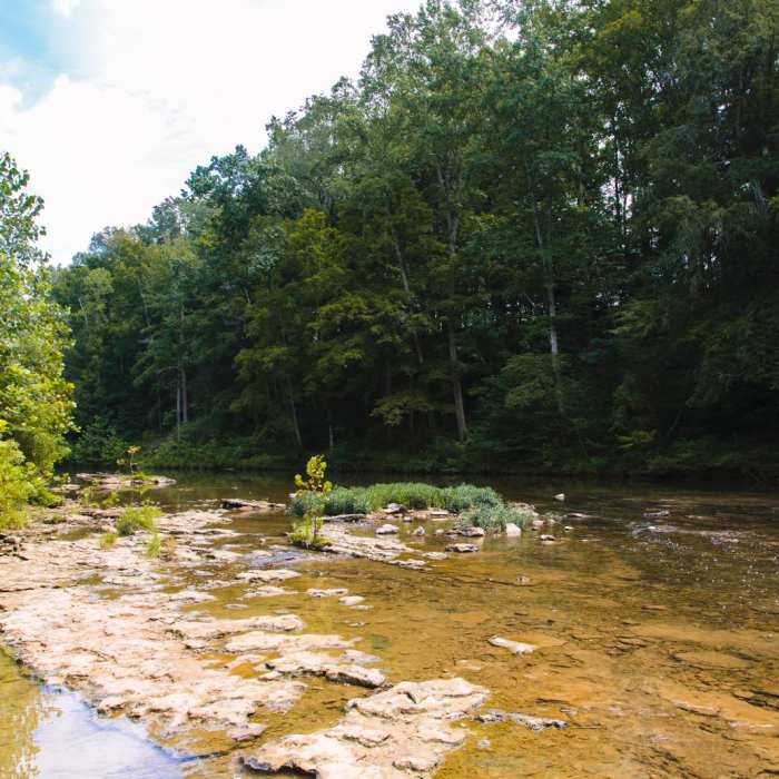 Near Cummins Falls State Park Hike