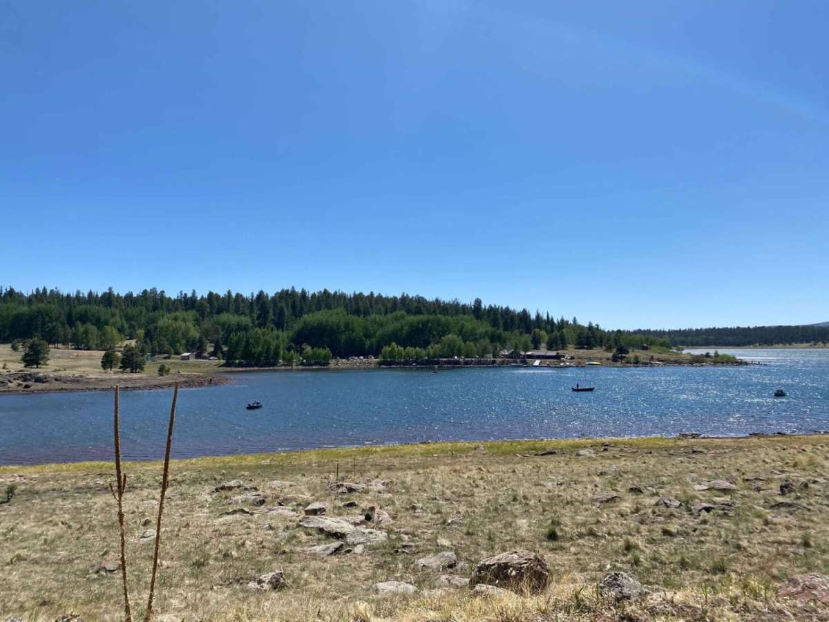 Log Landing photo 3