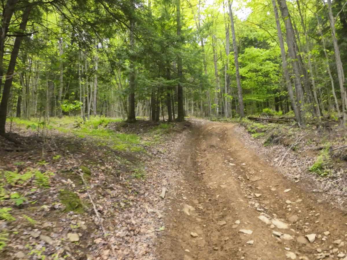I Blue I1-I2 trail photo