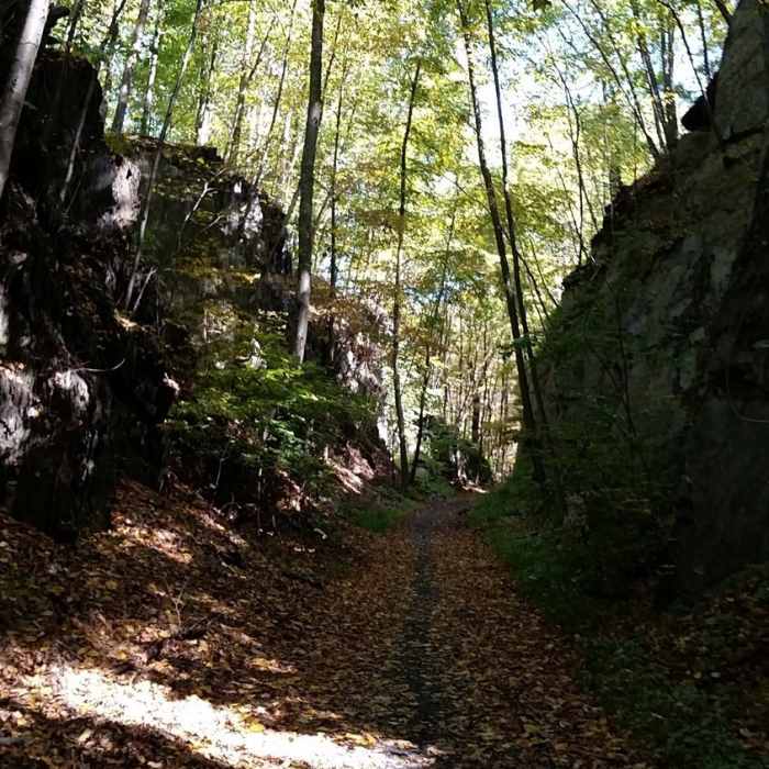 Shale removed for the train to pass through when this trail was once a rail bed. Near Paulinskill Valley Trail
