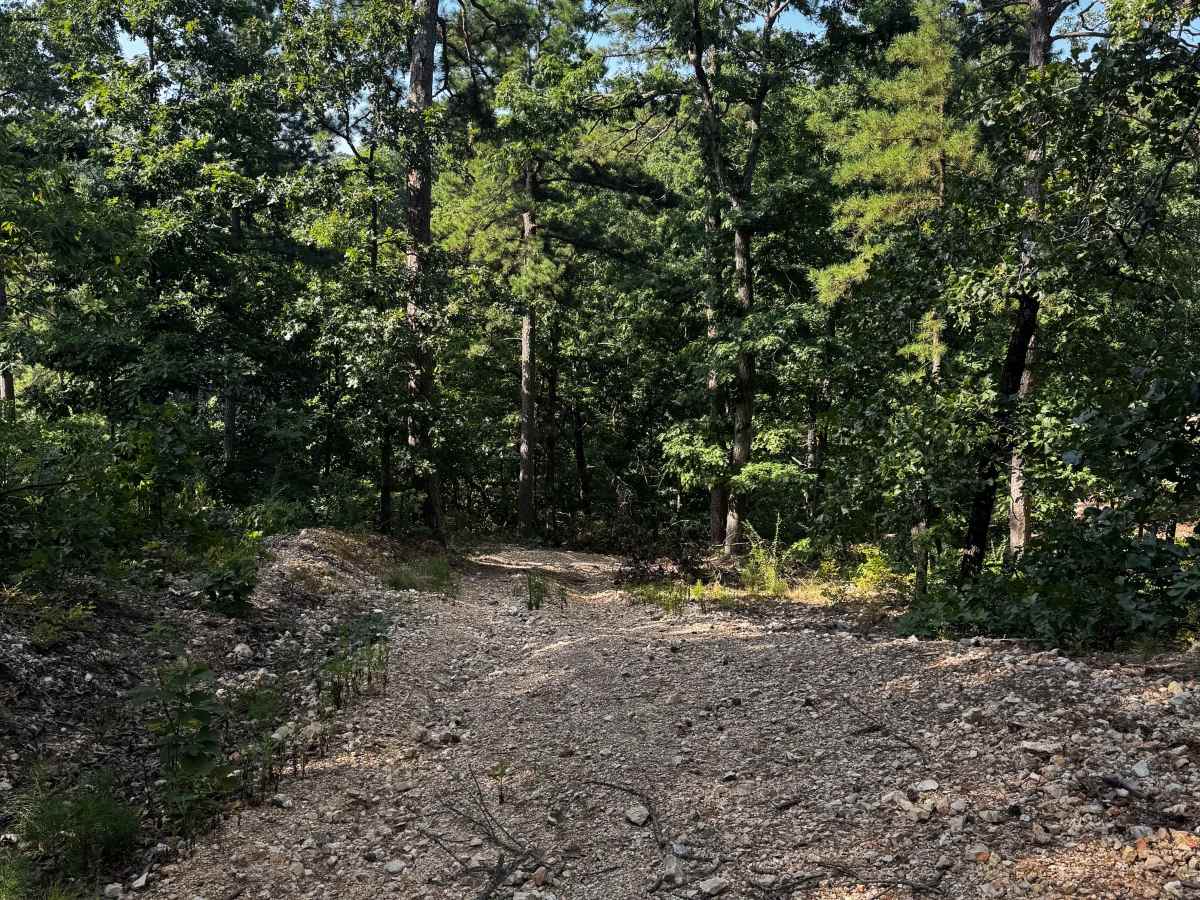 Short Track Loop 4 photo 2