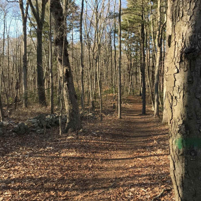 Near Mohegan Park Loop