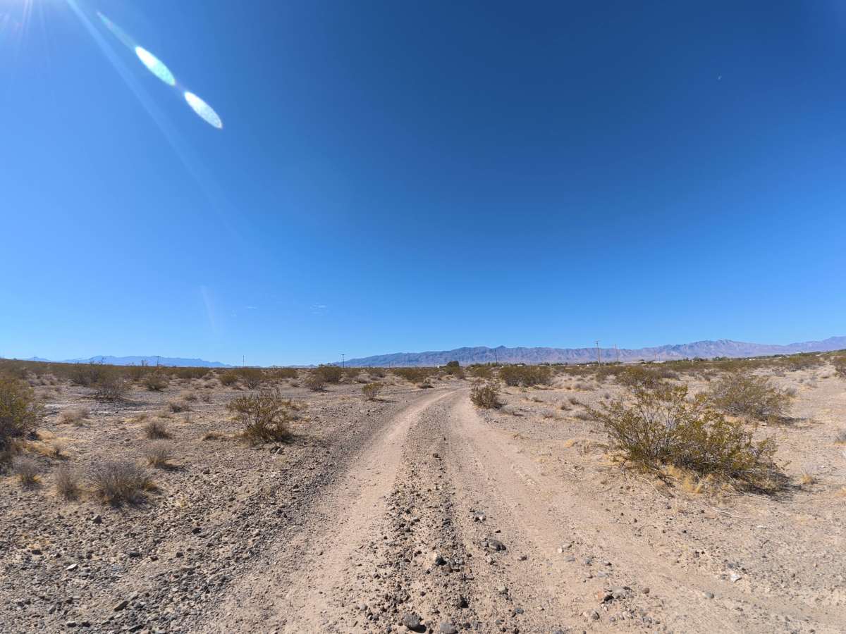 Indian West photo 2