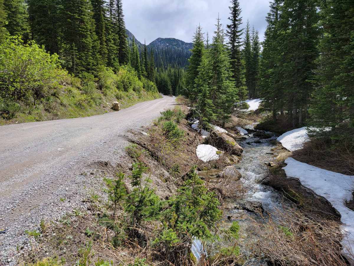 Jewel Basin Road photo 4