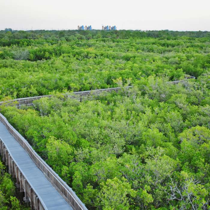Near Weedon Island Preserve Route