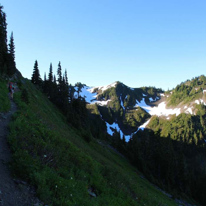 Near Lunch Lake Trail