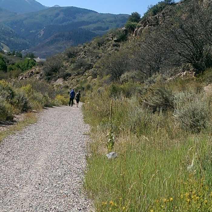 Near Wild West Ridge