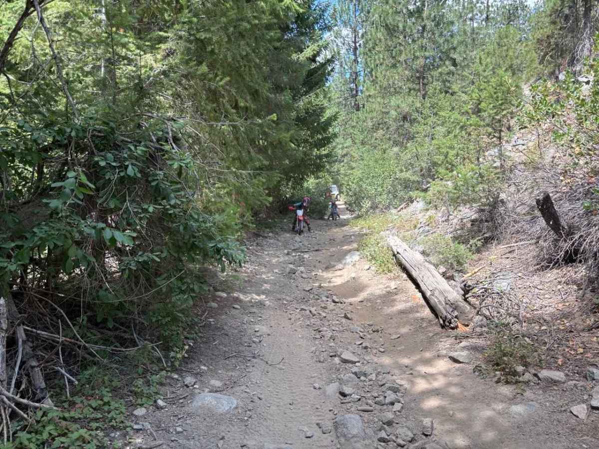 Pine Gulch trail photo
