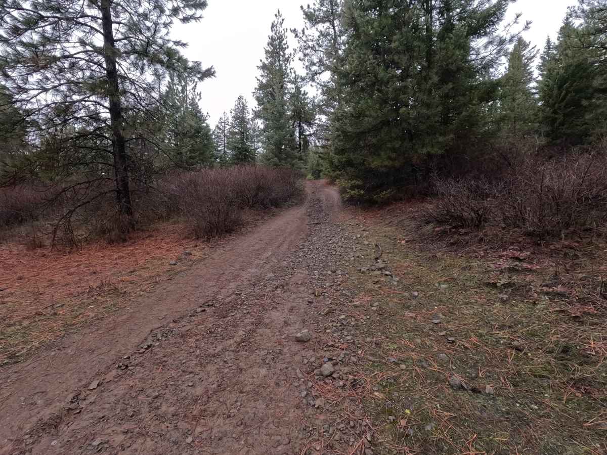 Potato Hill Connector photo 4
