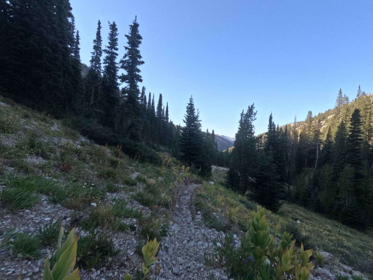 North Fork Ross Fork - FS 7226 photo 4