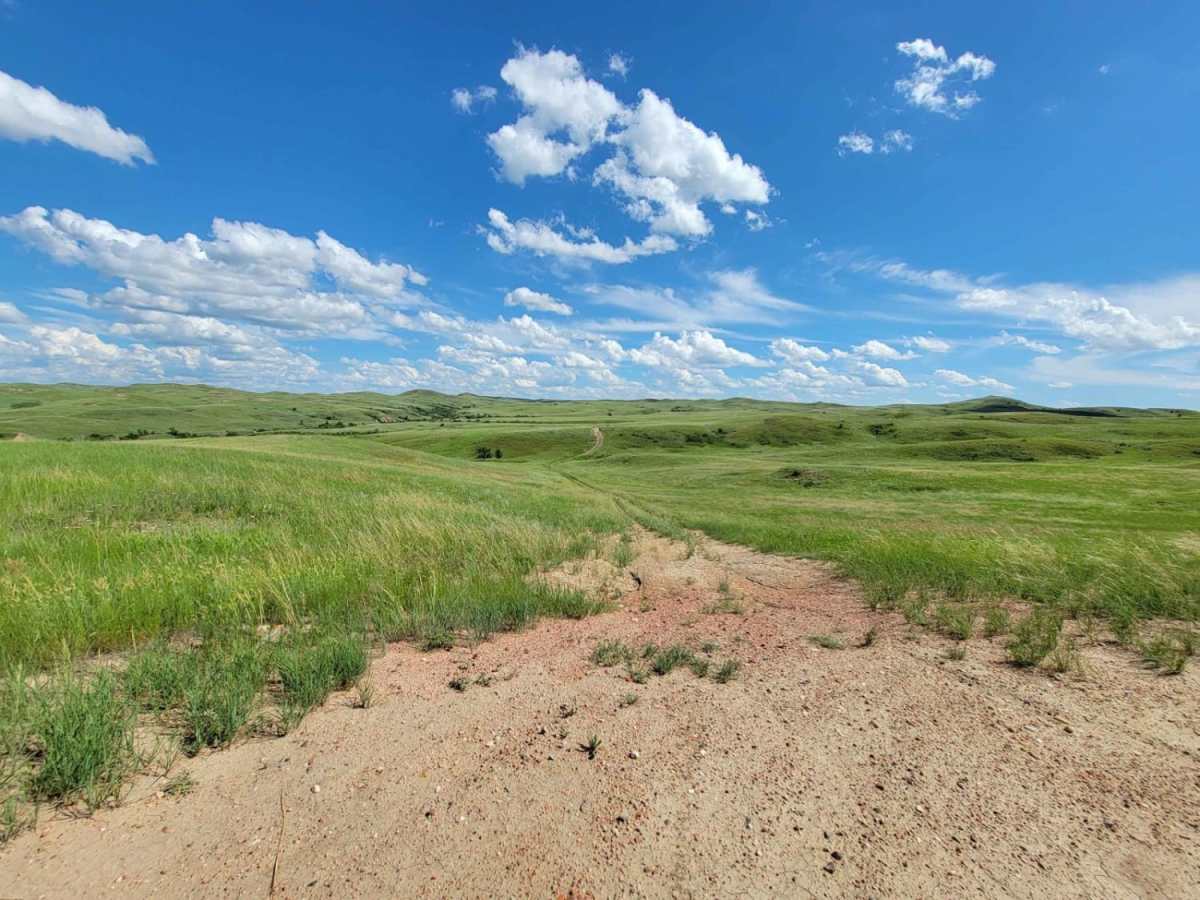 Tour of the Grasslands photo 5