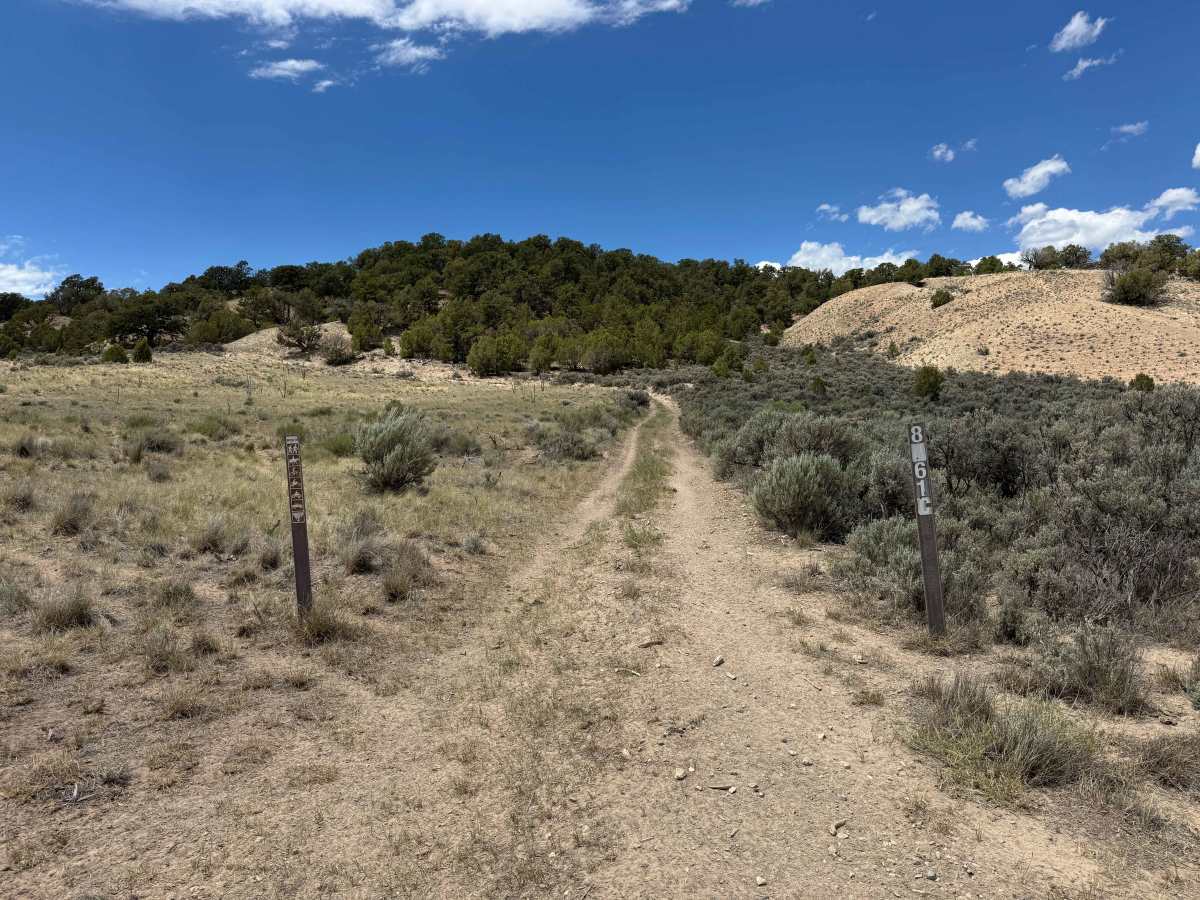 BLM 8461C photo 2