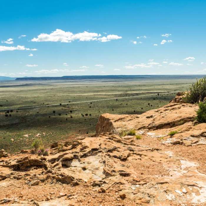 Near Ridge Trail Hike Near Ridge Trail Hike
