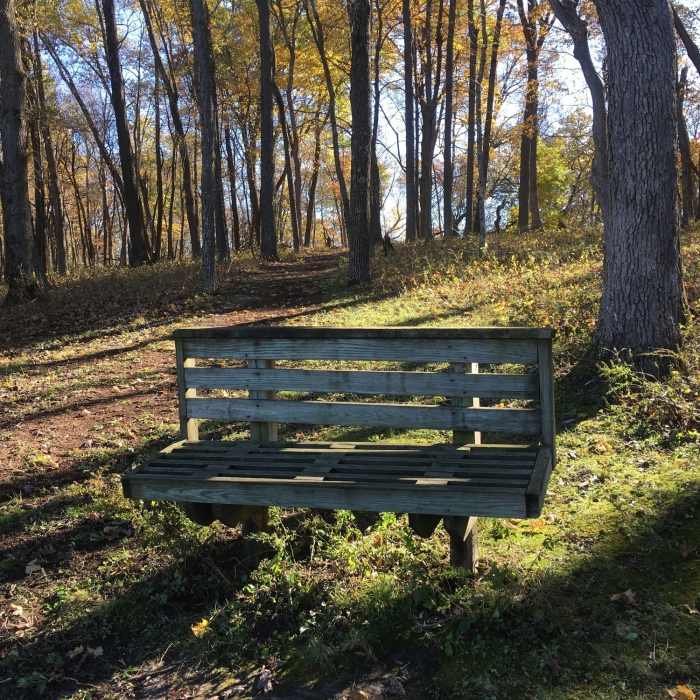 Bench overlooking Founders Pond Near Effigy Mounds South Unit