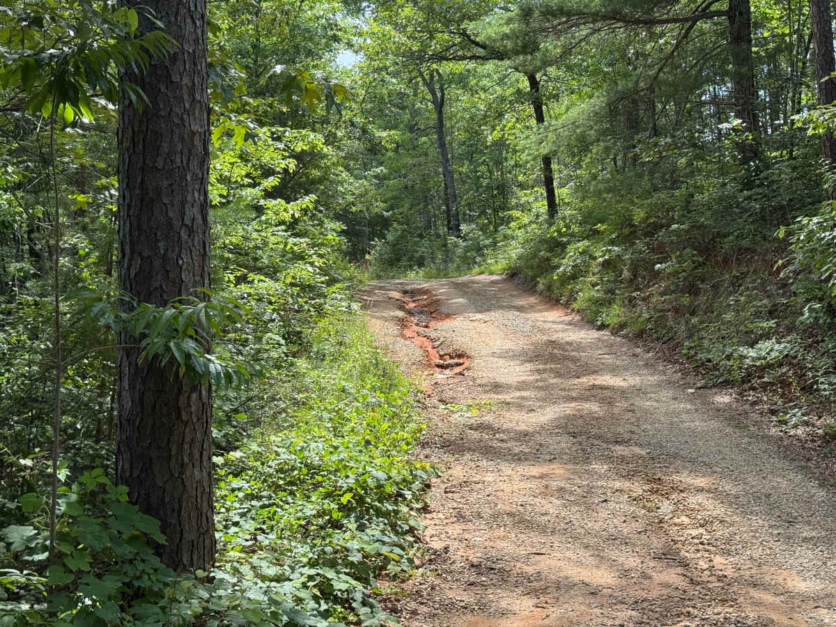 Stonewall Creek - FS 20 photo 6