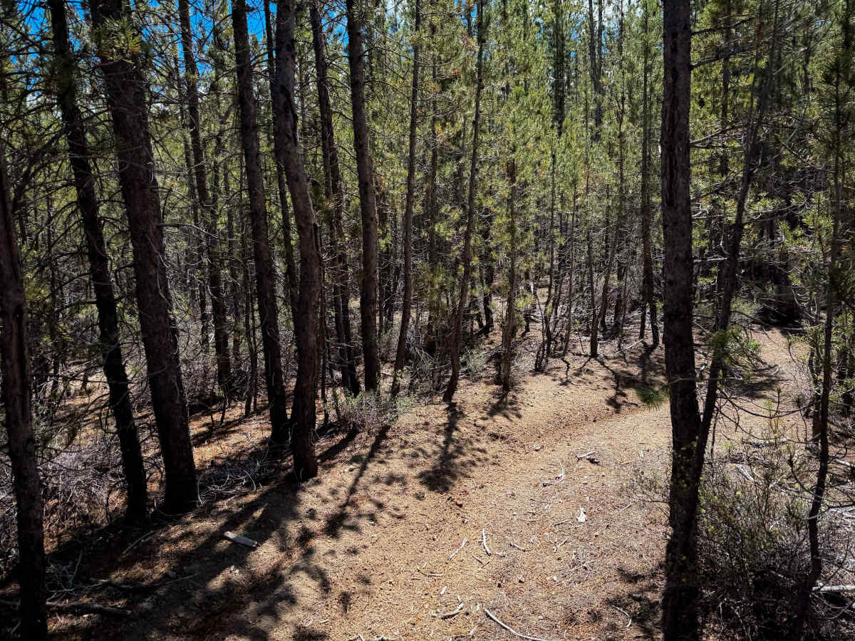 Trail 25  photo 4