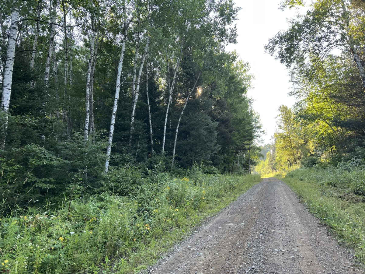 Tie Mill Road - FS 2402 photo 4
