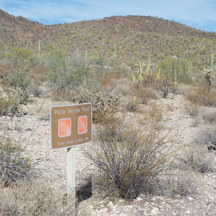 Near Palo Verde Trail