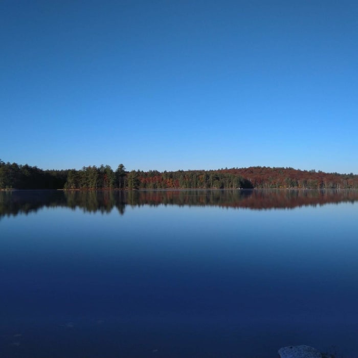 Near Tower Hill Pond Loop Trail