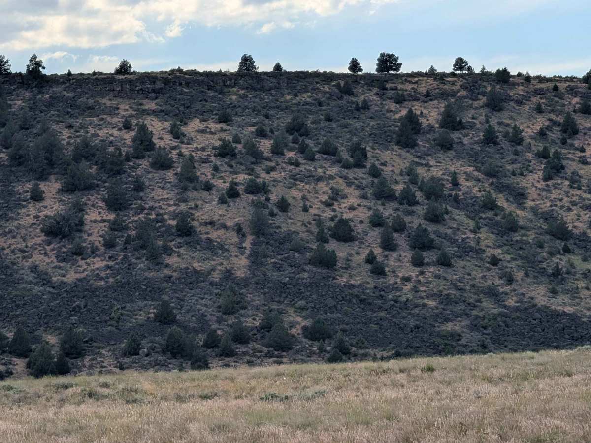 Sheep Camp Butte - FS 47N18 photo 3