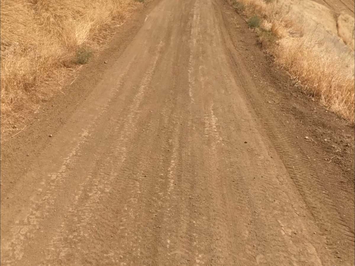 Juniper Trail photo 5
