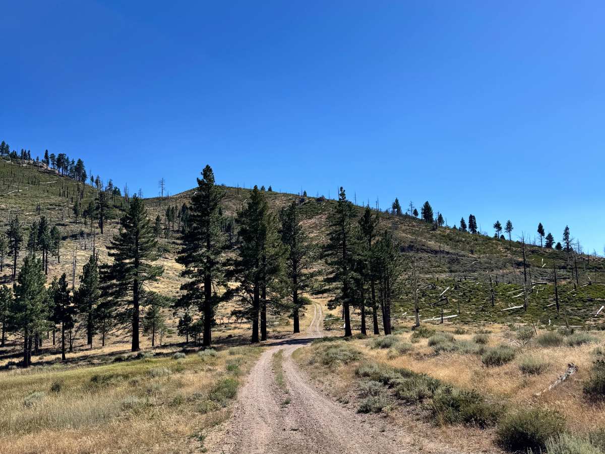 Colorado Hill Road - FS 31326 trail photo