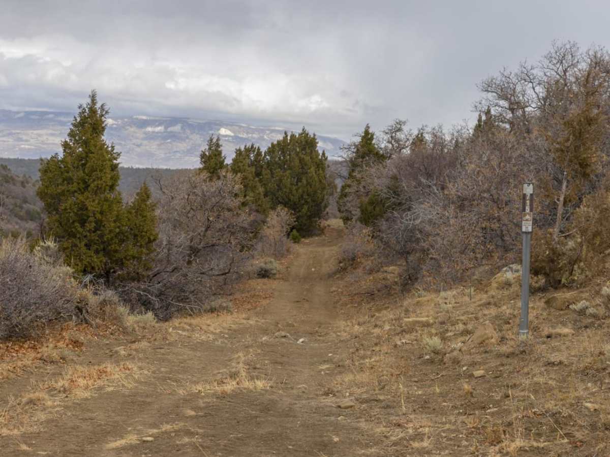 Catamount Trail photo 2