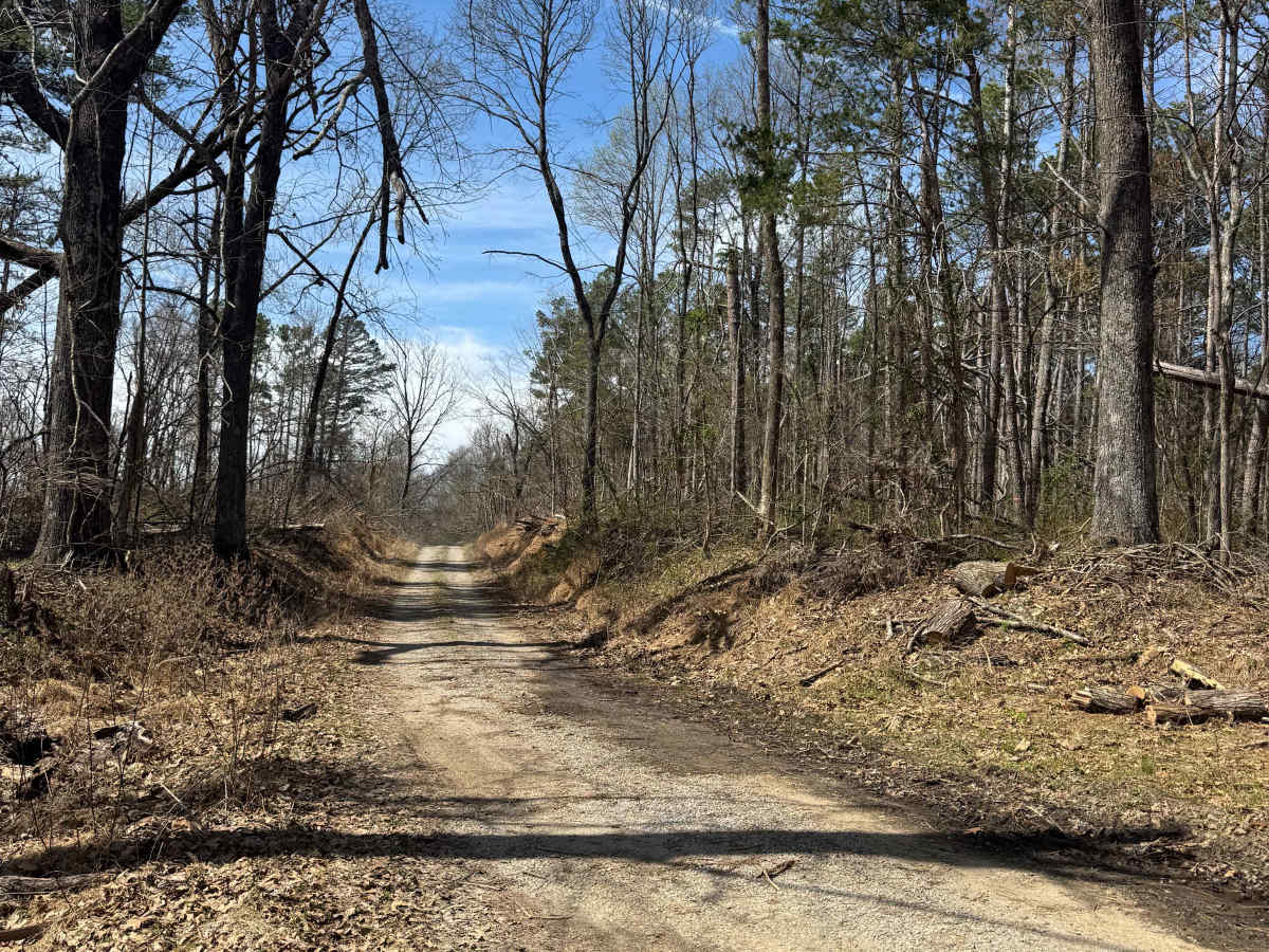 Taylor Ridge Road photo 5