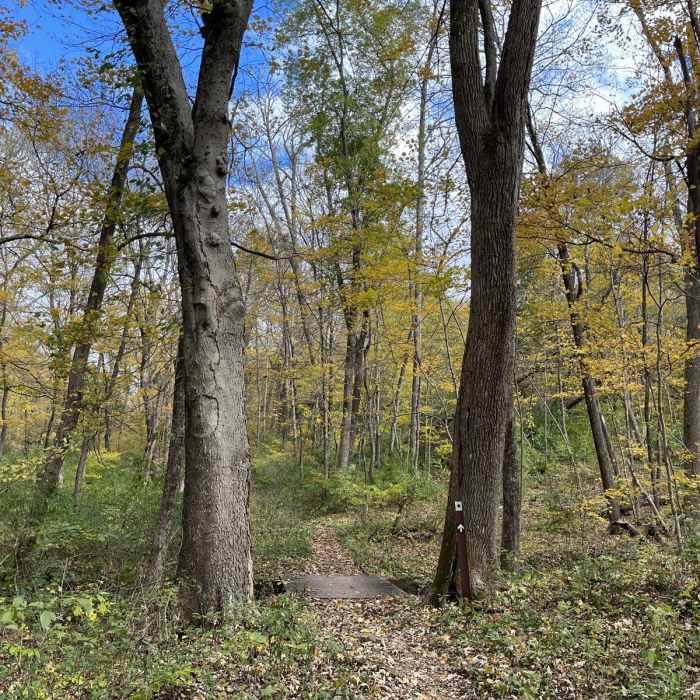 Near Washington Crossing State Park Loop Near Washington Crossing State Park Loop