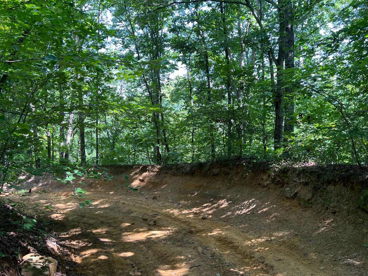 Briarbend Road  photo 6