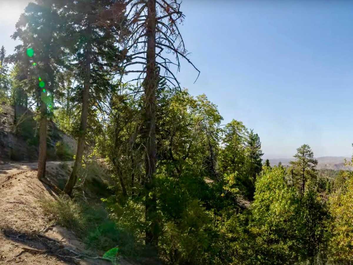 Green Valley Bypass - FS 2N54 trail photo