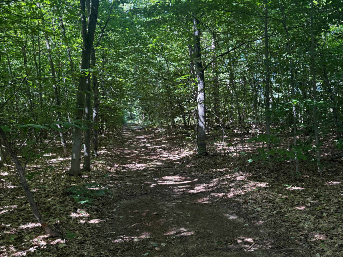 Lumley-Glovers Trail photo 6