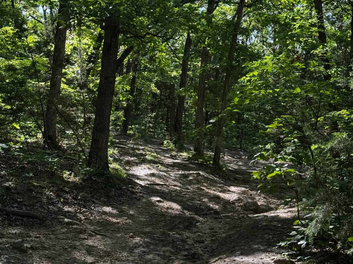 Inner Trail 11 photo 3