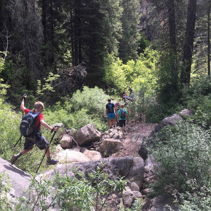 Near West Fork Upper Extension from 231
