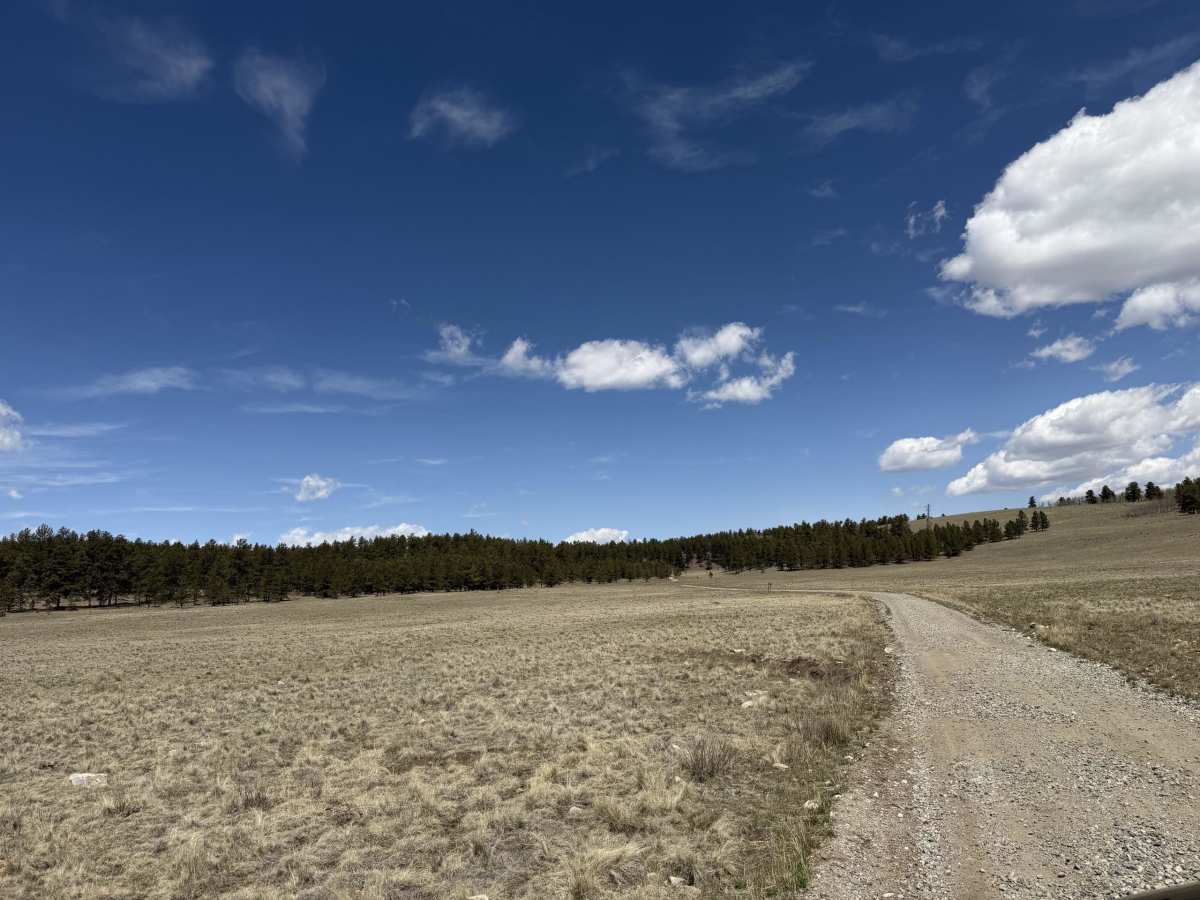West Columbine Gulch Road photo 5