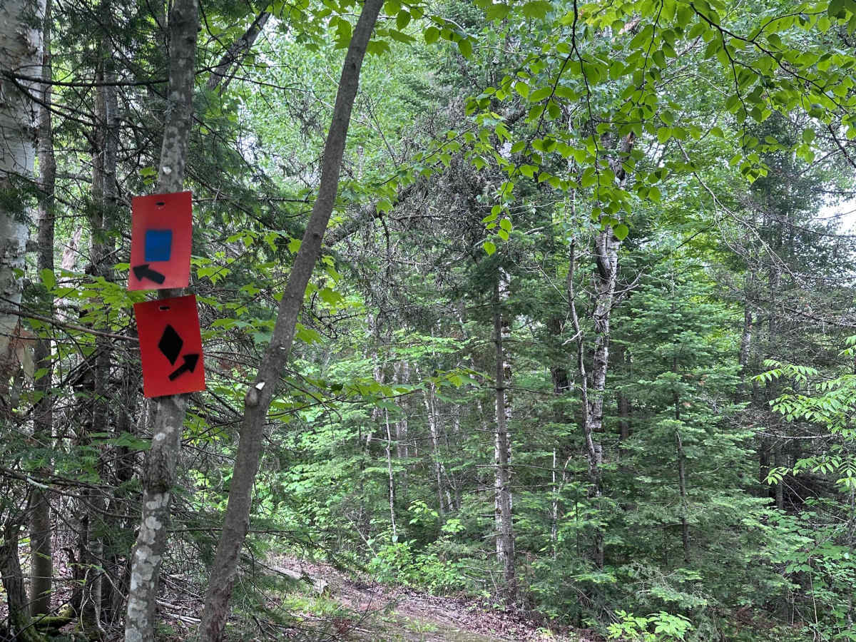 Alger Grade - Trail 5 photo 3