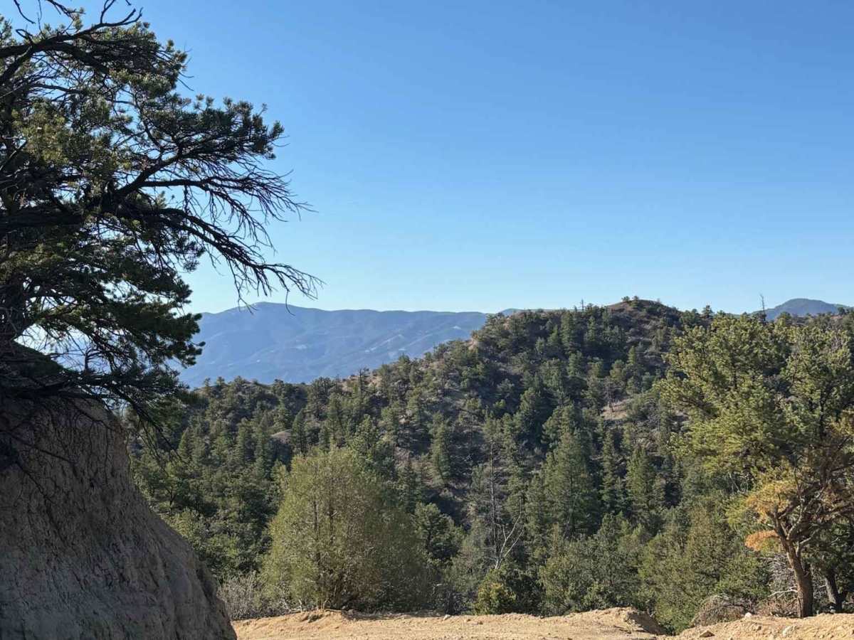 Droney Gulch photo 2
