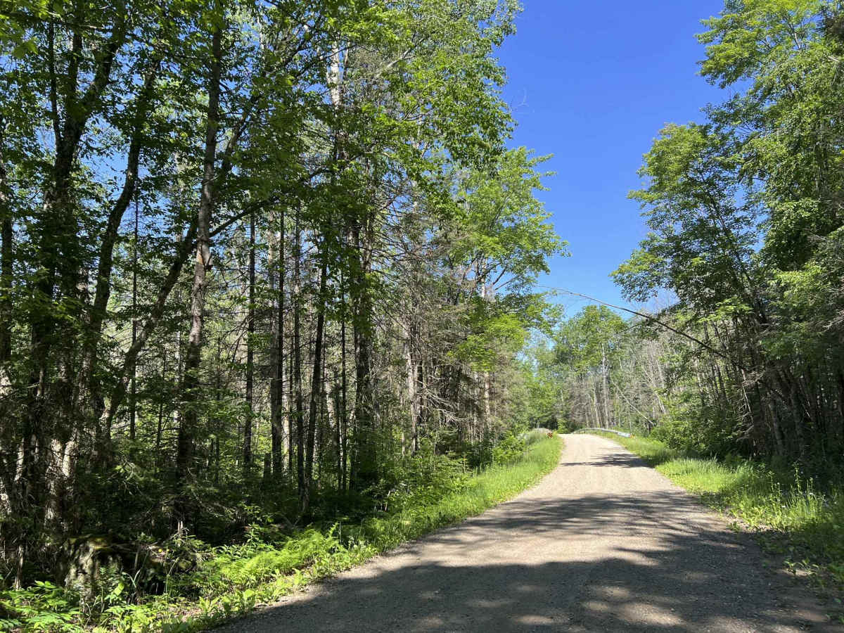 Peshtigo River Road - FS 2131 photo 3