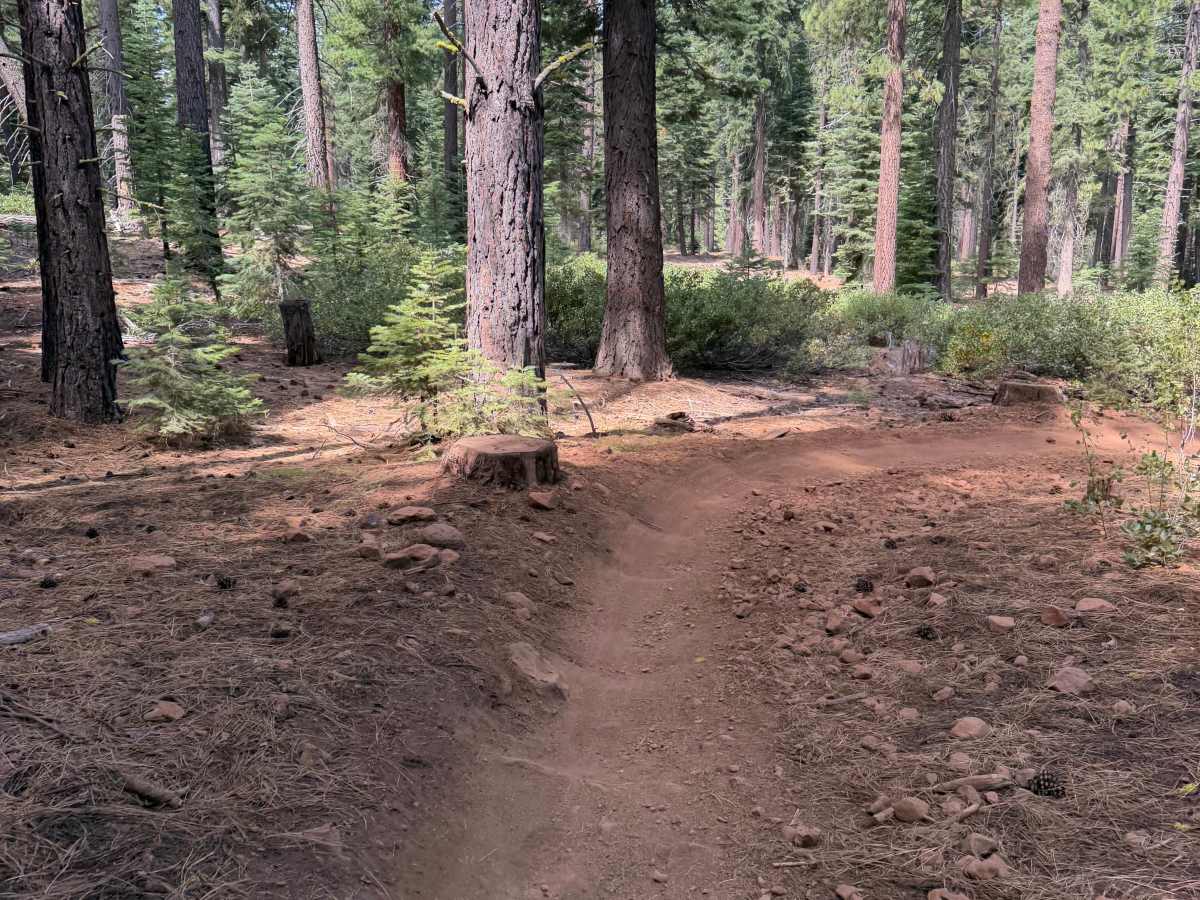 Happy Face (Downhill) photo 4